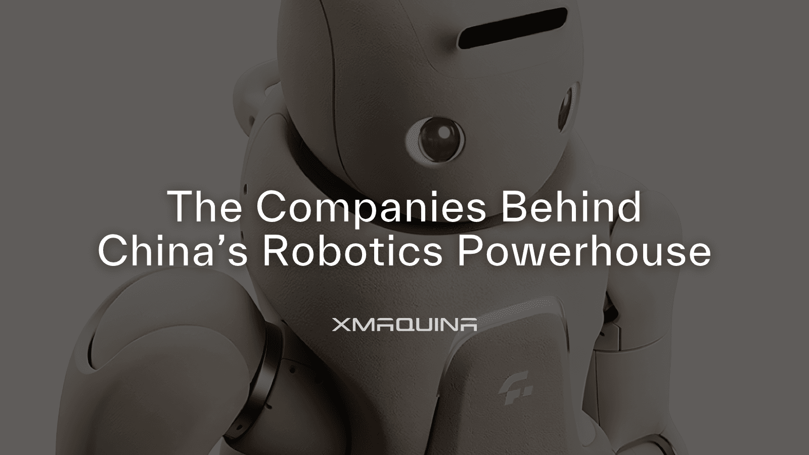 The Companies Behind China’s Robotics Powerhouse