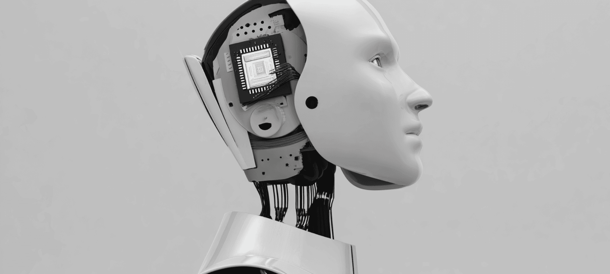 Sohu And The End Of General‑Purpose AI Chips