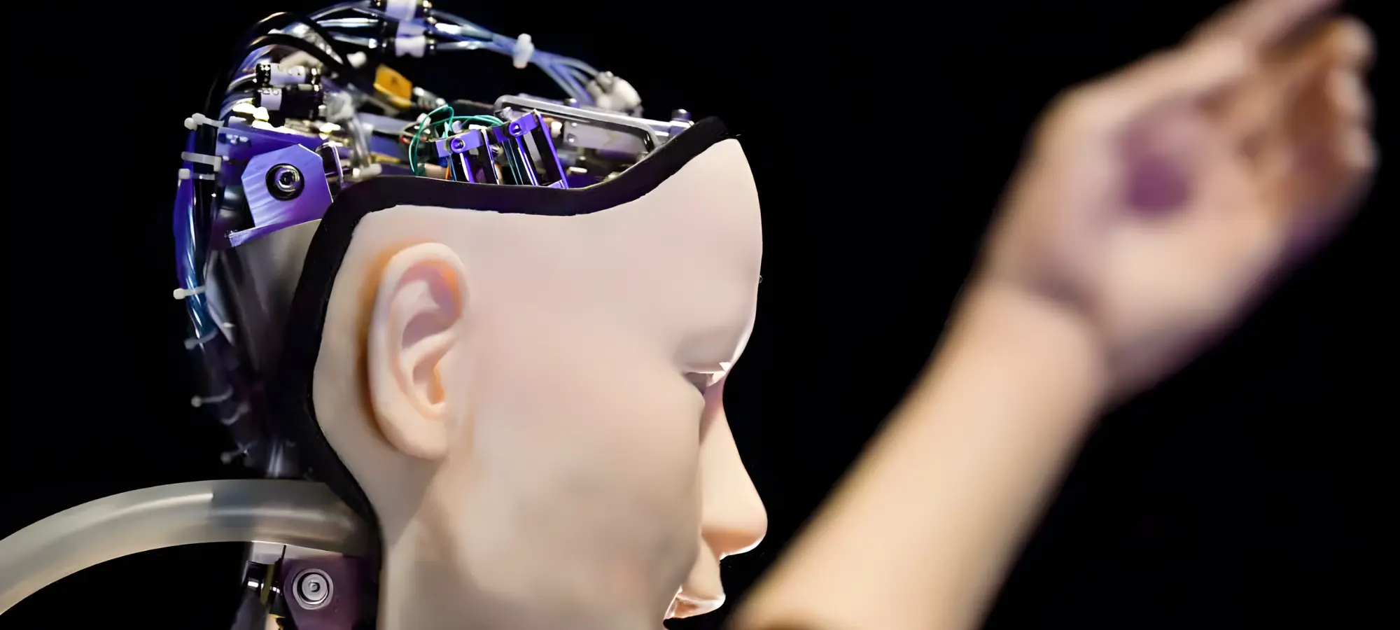 Who Owns The Brains And Minds Of Humanoid Robotics