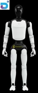 A3 full body
