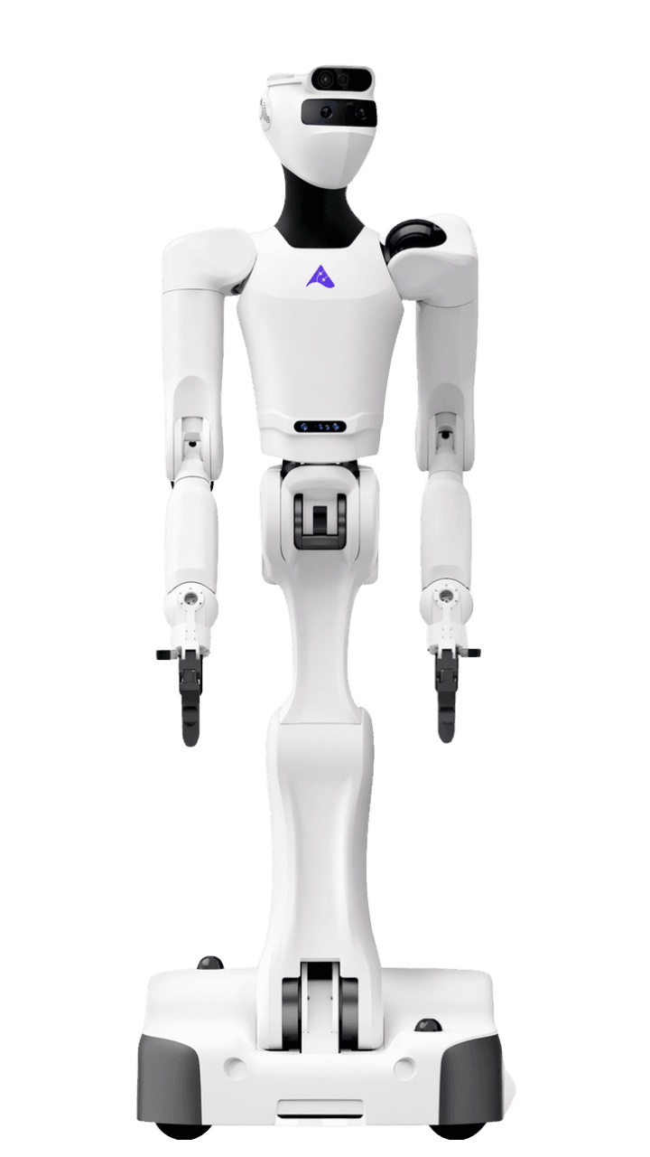 S1 full body