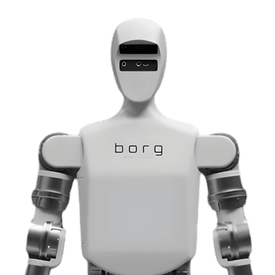 Borg 01 view 1