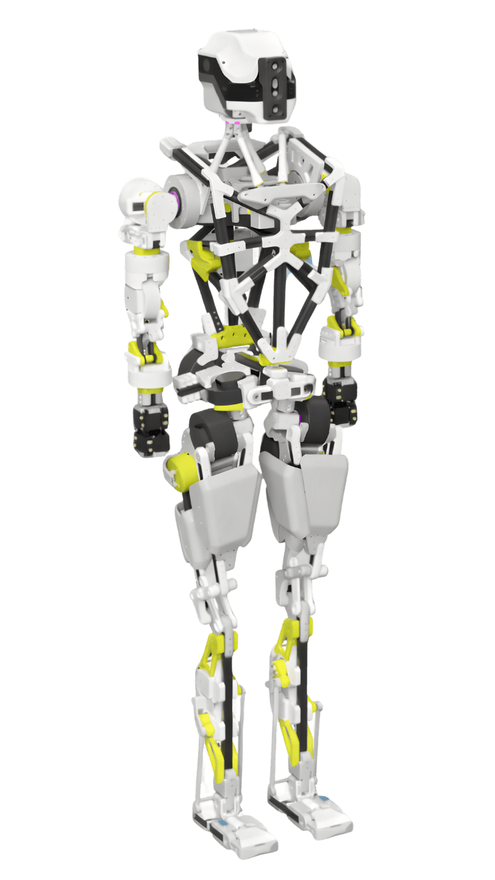 Dropbear full body