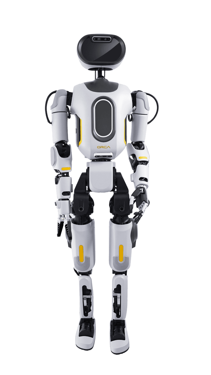Orca full body
