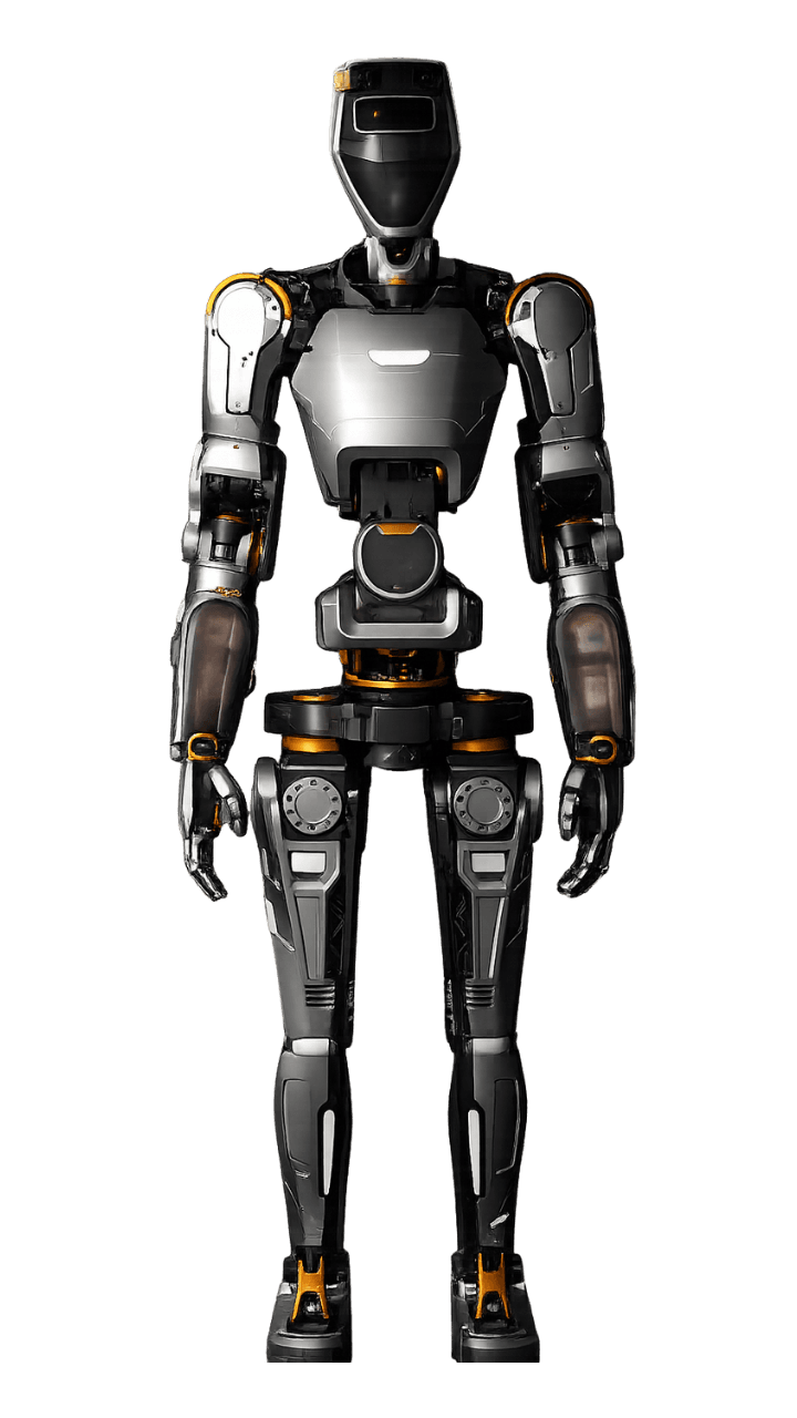 Phoenix full body