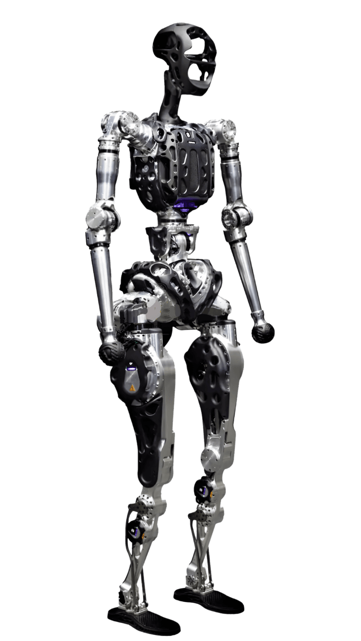 Adam full body