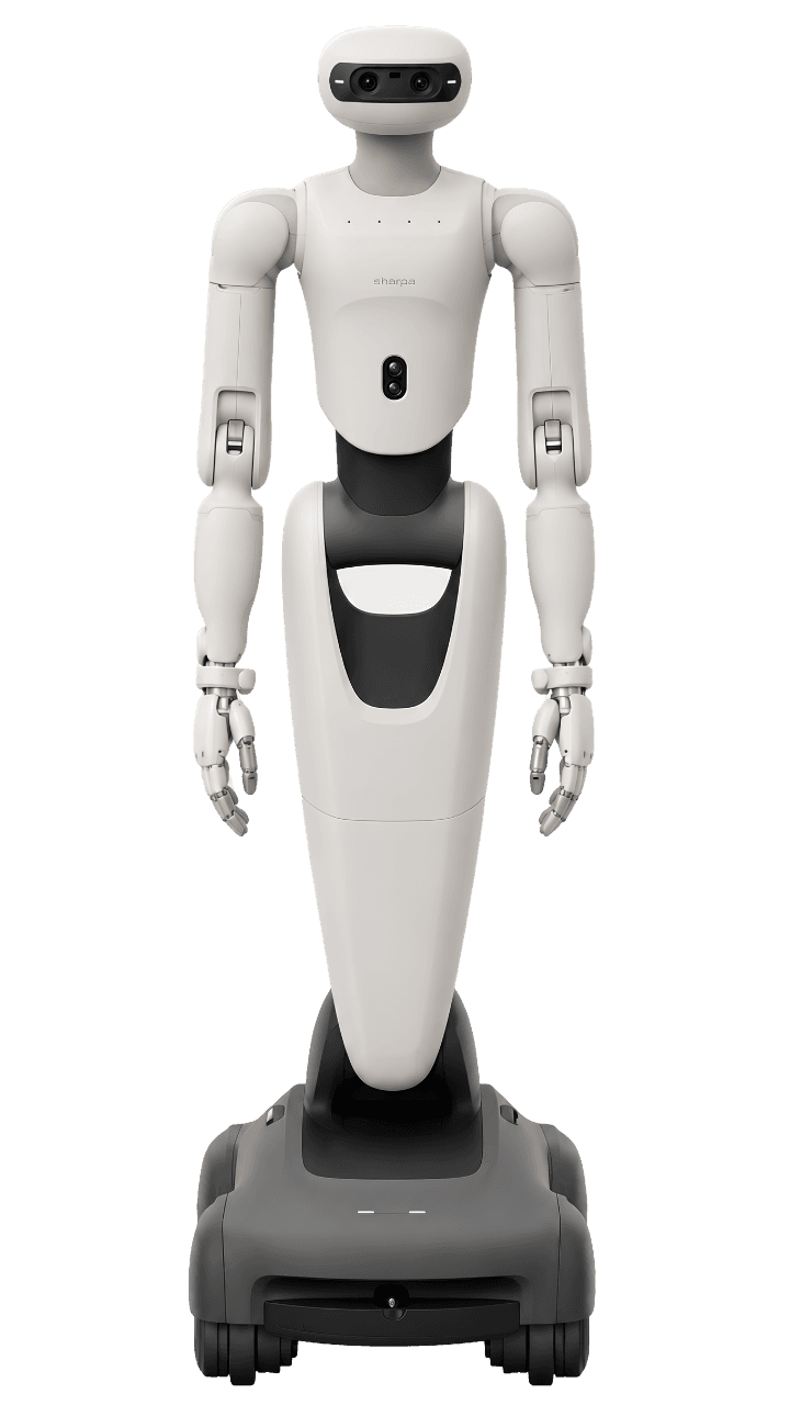 D01 full-body view